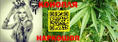 сатива Жуковский