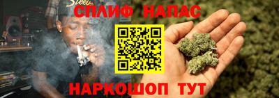 сатива Жуковский