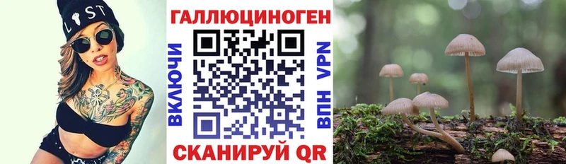 Псилоцибиновые грибы мицелий  Сосновоборск 