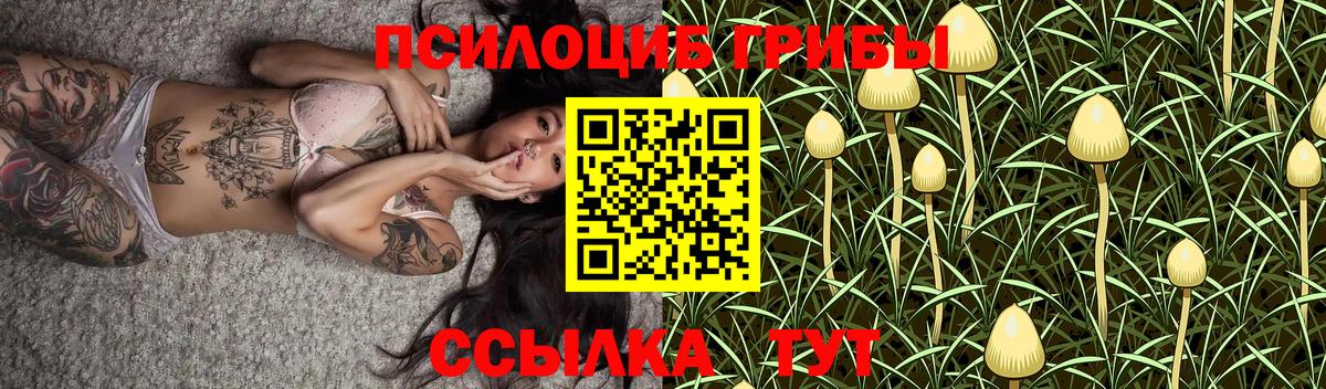 Псилоцибиновые грибы прущие грибы  Галлюциногенные грибы Psilocybe  Вход с VPN  Сосновоборск 