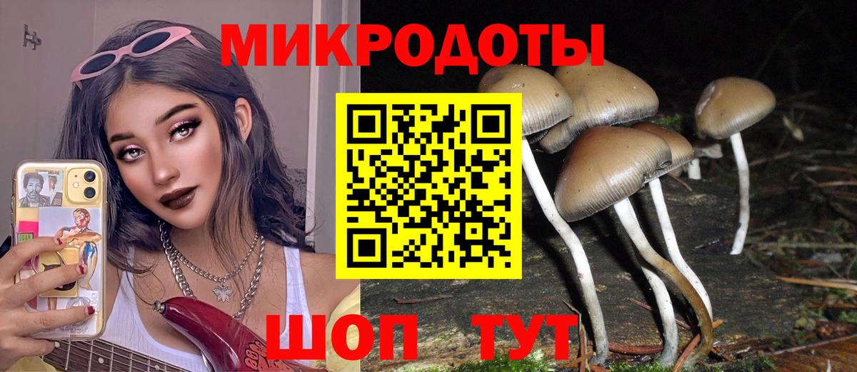 Галлюциногенные грибы мицелий Сосновоборск